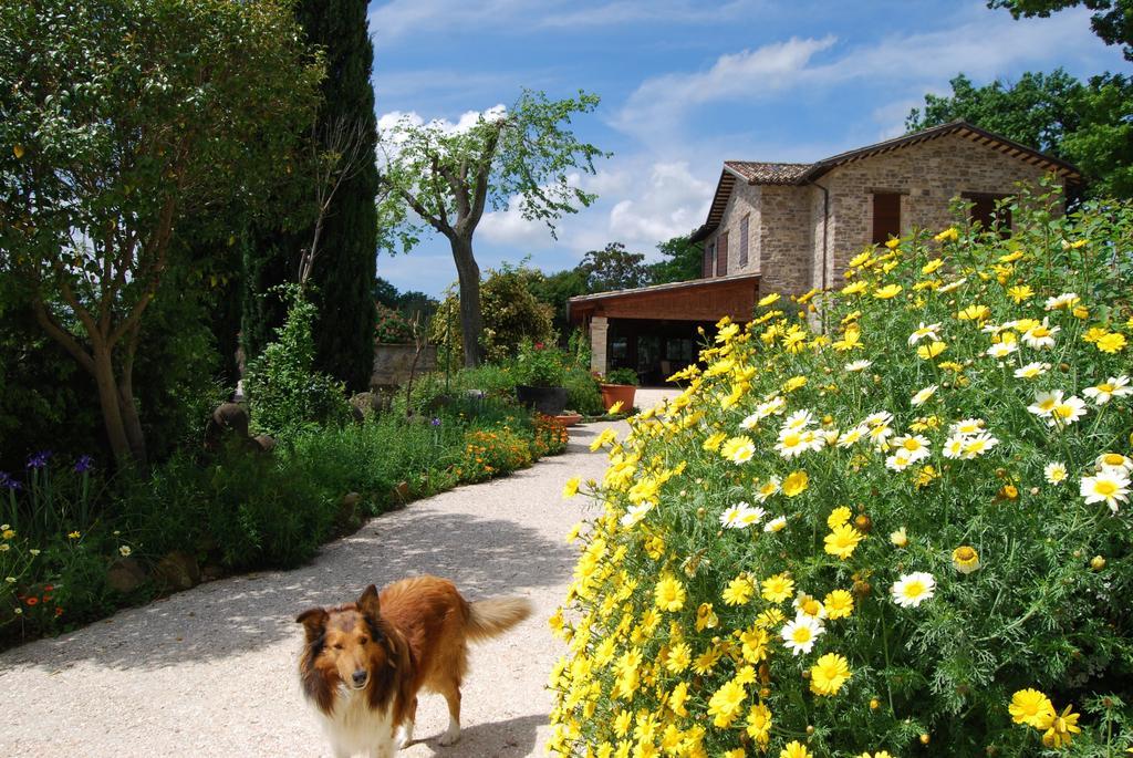 산세베리노마르케 Casale Il Cerqueto B&B 외부 사진