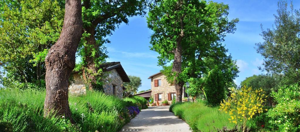 산세베리노마르케 Casale Il Cerqueto B&B 외부 사진