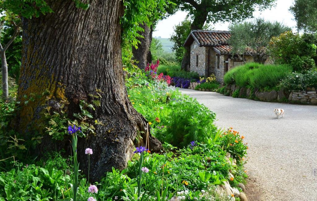 산세베리노마르케 Casale Il Cerqueto B&B 외부 사진
